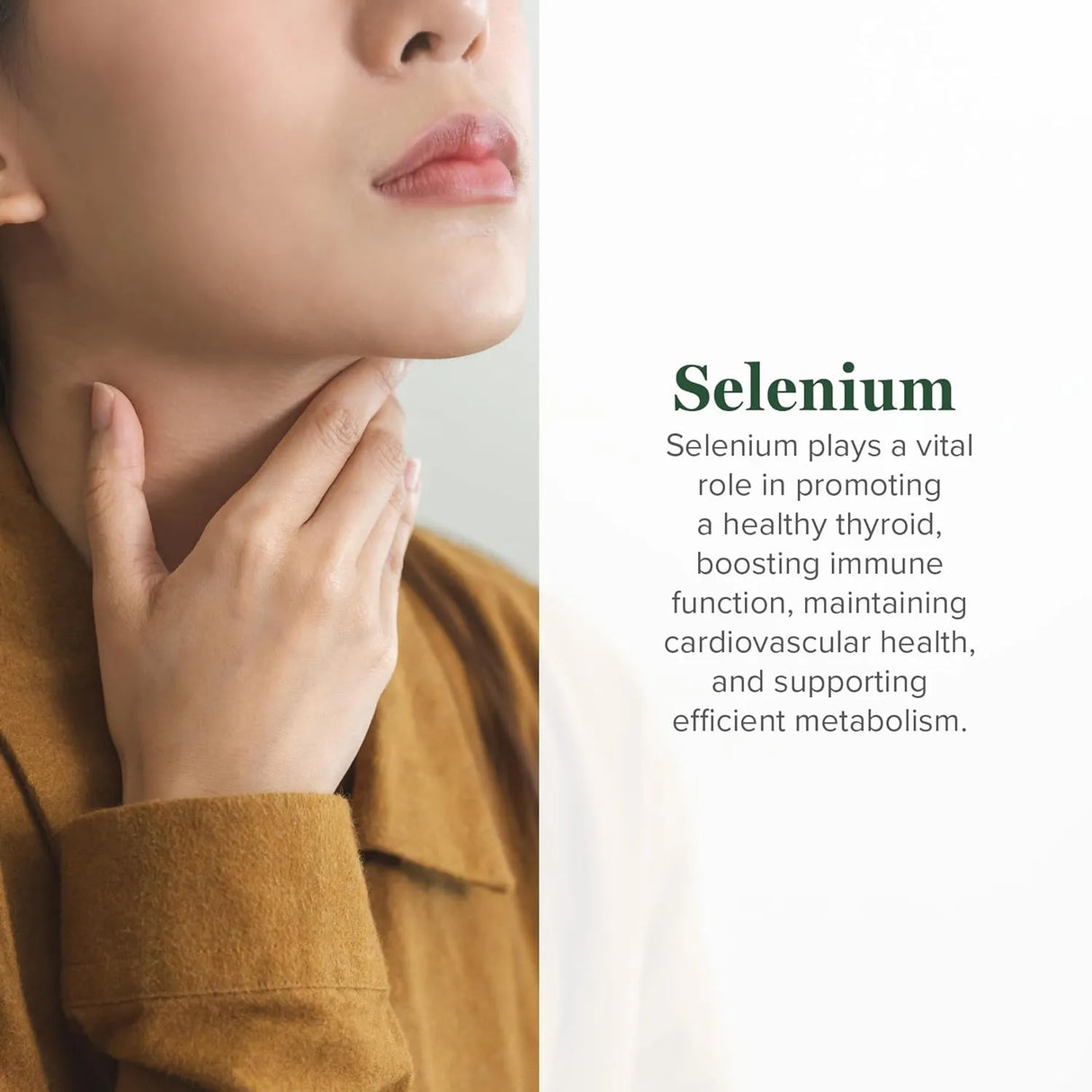 GLOBAL HEALING CENTER - Global Healing Center Selenium 200mcg 2 Fl.Oz. - The Red Vitamin MX - Suplementos Alimenticios - {{ shop.shopifyCountryName }}