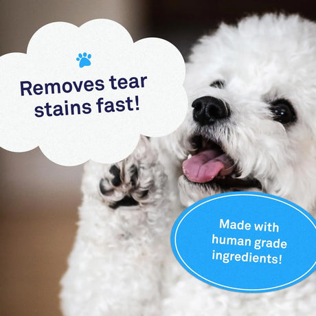 PETPOST - Petpost Tear Stain Remover Chicken Flavored Soft Chews 90 Masticables - The Red Vitamin MX - Cuidado De Los Ojos De Los Perros - {{ shop.shopifyCountryName }}
