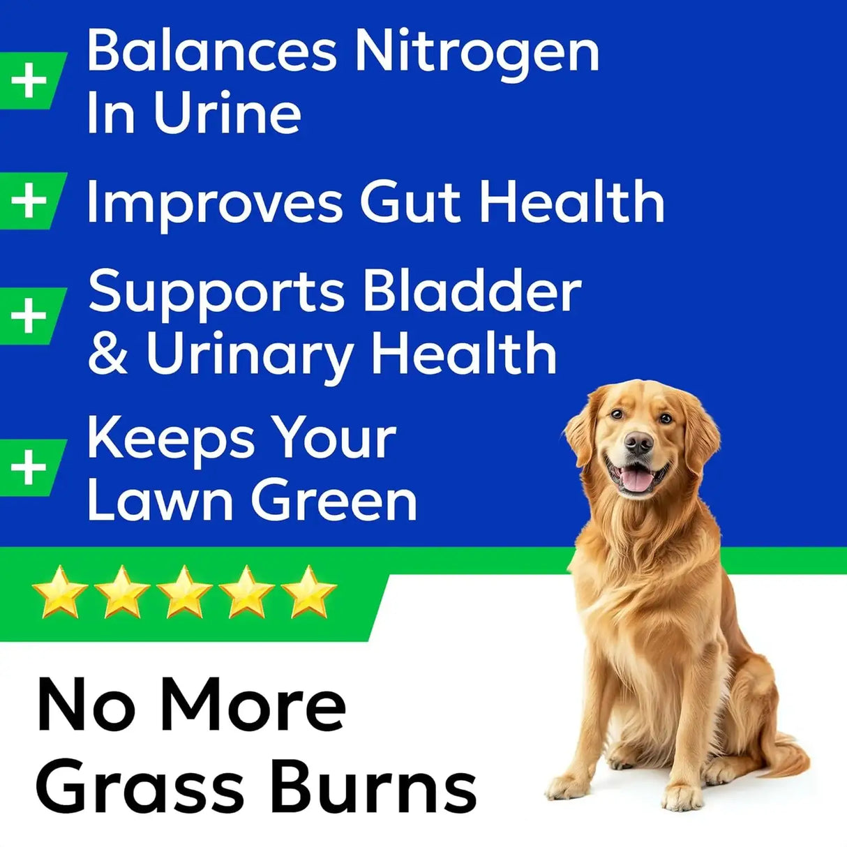 BARK&SPARK - BARK&SPARK Green Grass Chews 120 Masticables - The Red Vitamin MX - Salud De Tracto Urinario Para Perros - {{ shop.shopifyCountryName }}