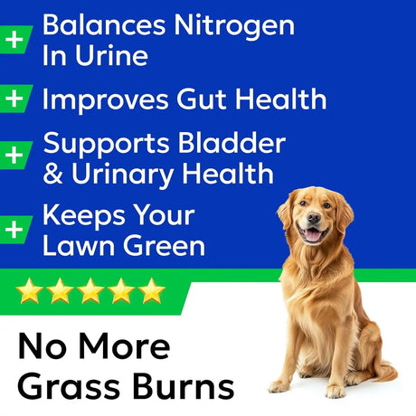 BARK&SPARK - BARK&SPARK Green Grass Chews 120 Masticables - The Red Vitamin MX - Salud De Tracto Urinario Para Perros - {{ shop.shopifyCountryName }}
