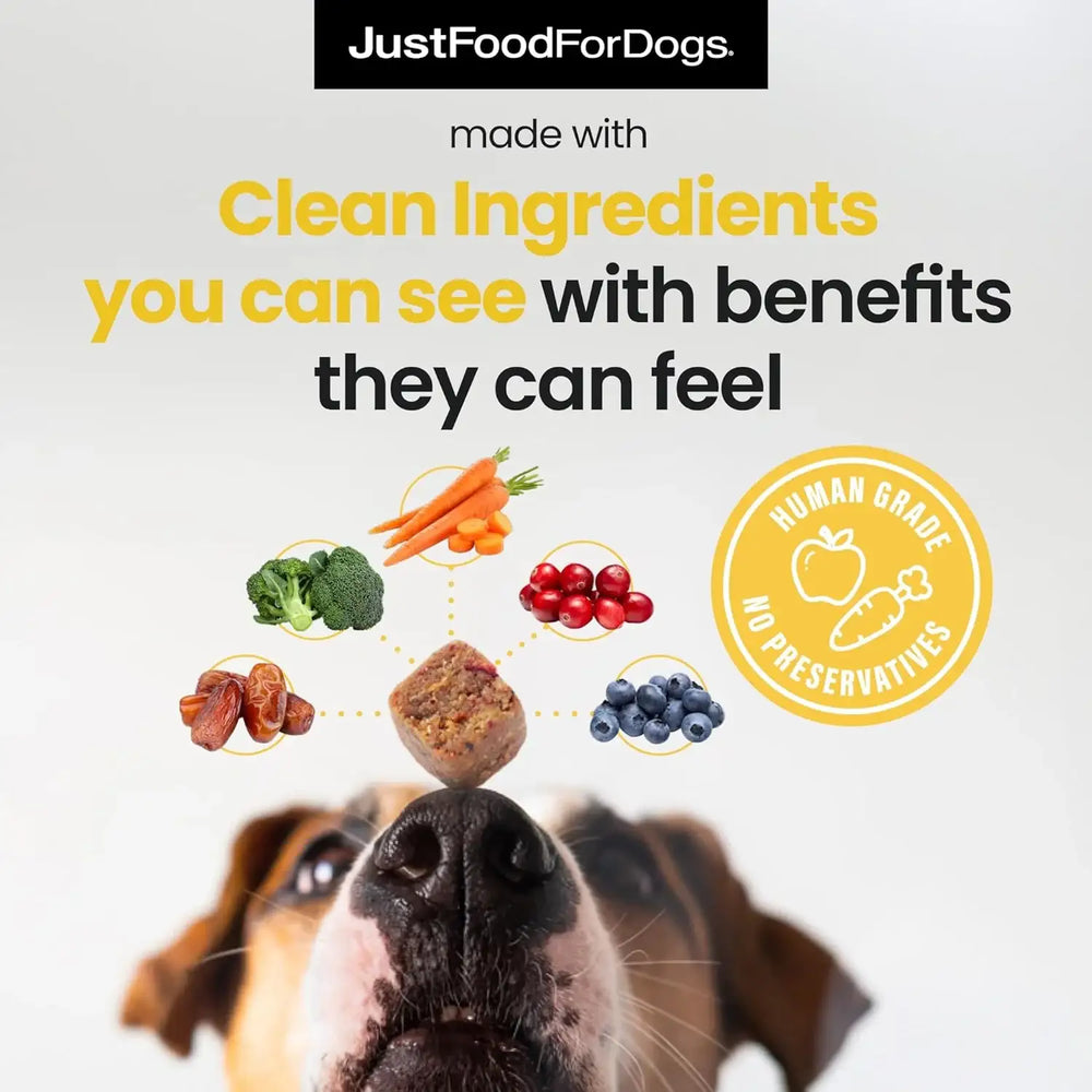 JUSTFOODFORDOGS - JustFoodForDogs Hip + Joint Soft Chews Mobility Supplement for Dogs 45 Masticables - The Red Vitamin MX - Cuidado De Cadera Y Articulaciones Para Perros - {{ shop.shopifyCountryName }}