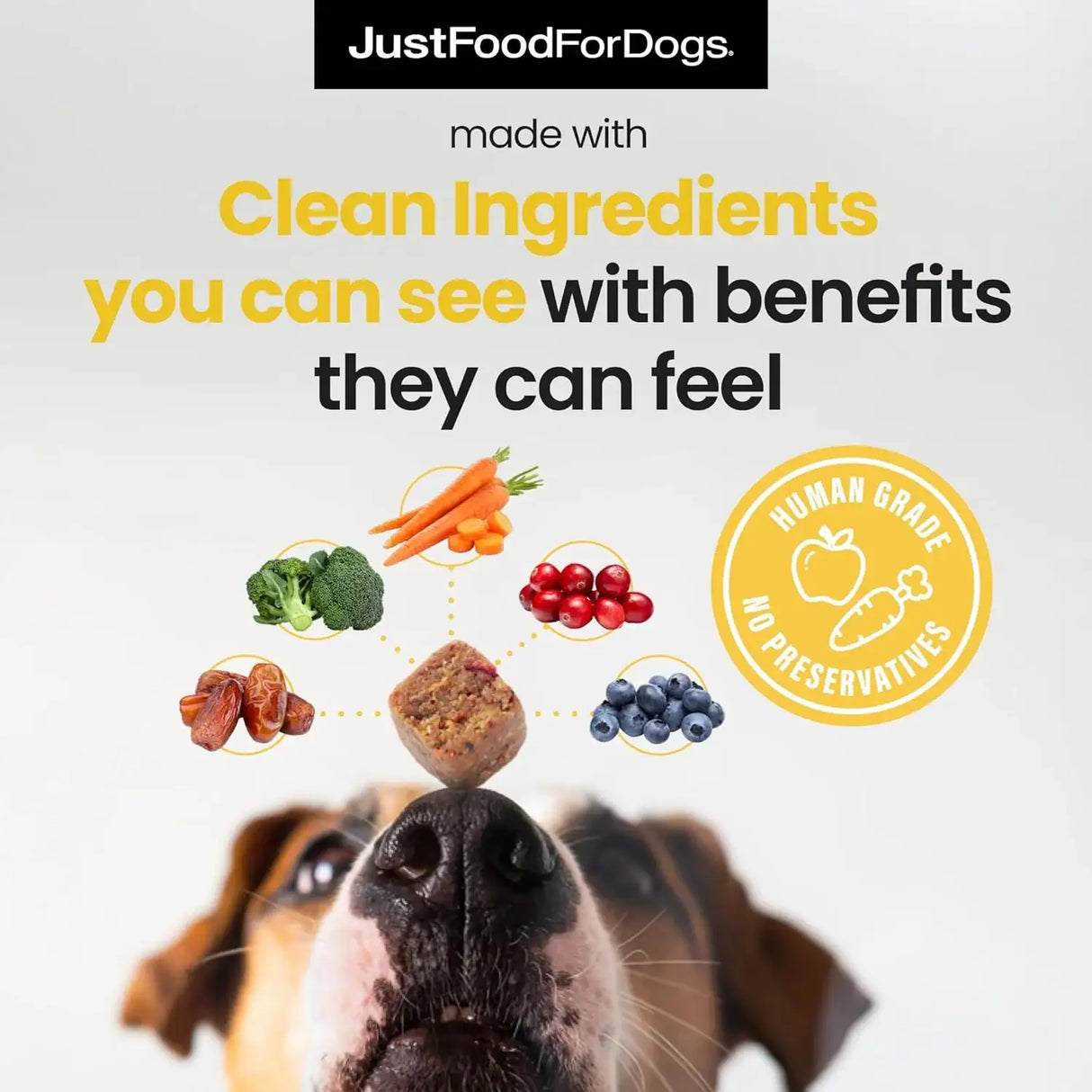 JUSTFOODFORDOGS - JustFoodForDogs Hip + Joint Soft Chews Mobility Supplement for Dogs 45 Masticables - The Red Vitamin MX - Cuidado De Cadera Y Articulaciones Para Perros - {{ shop.shopifyCountryName }}