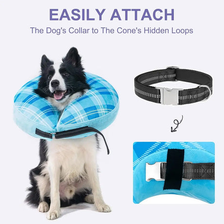 BEAUTYZOO - BEAUTYZOO Inflatable Donut Collar BLUE LARGE - The Red Vitamin MX - Collares y Conos De Recuperación Para Perros - {{ shop.shopifyCountryName }}