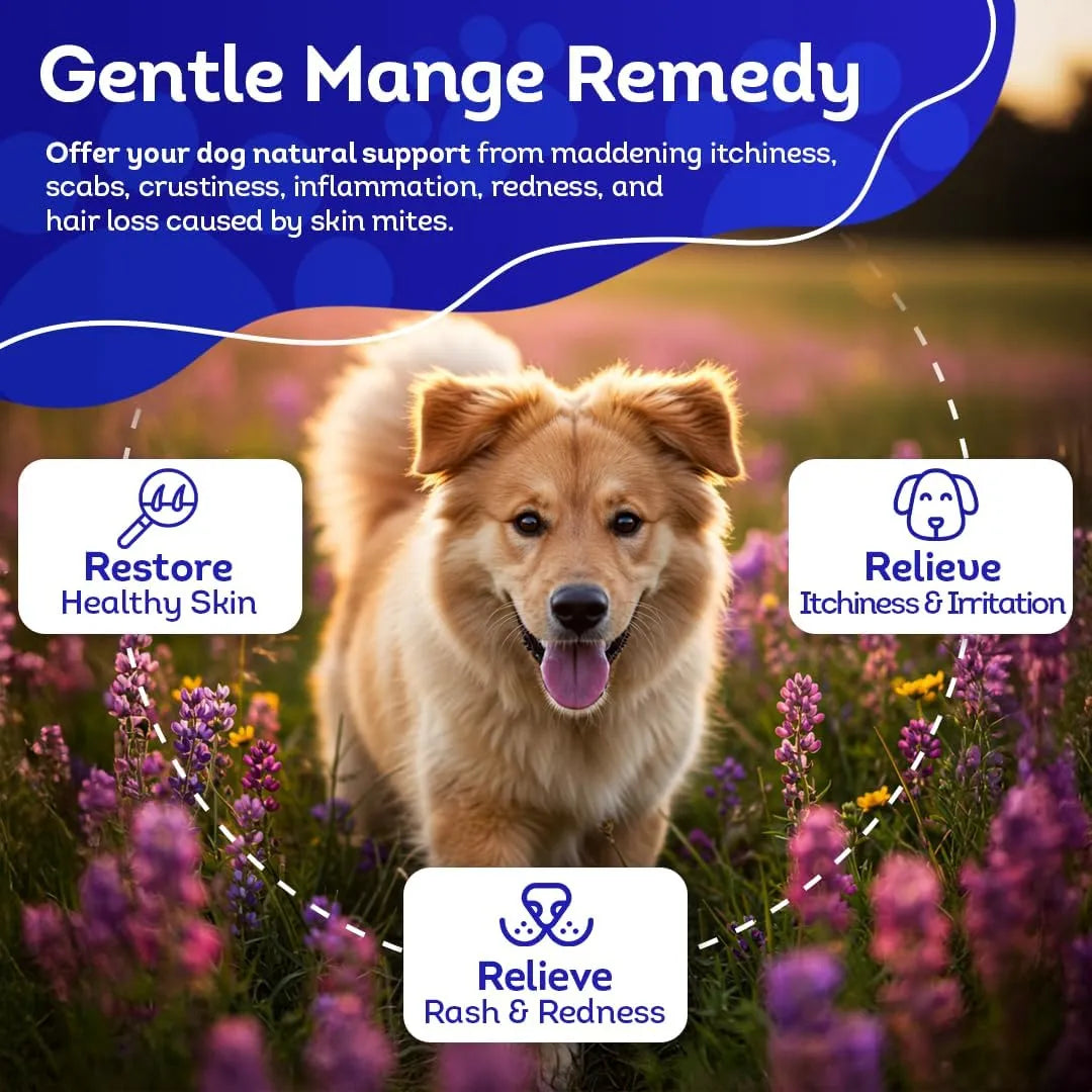 HEALTHYANIMALS4EVER - HealthyAnimals4Ever Mange Relief for Dogs 300 Tabletas - The Red Vitamin MX - Remedios Para La Picazón De Perros - {{ shop.shopifyCountryName }}