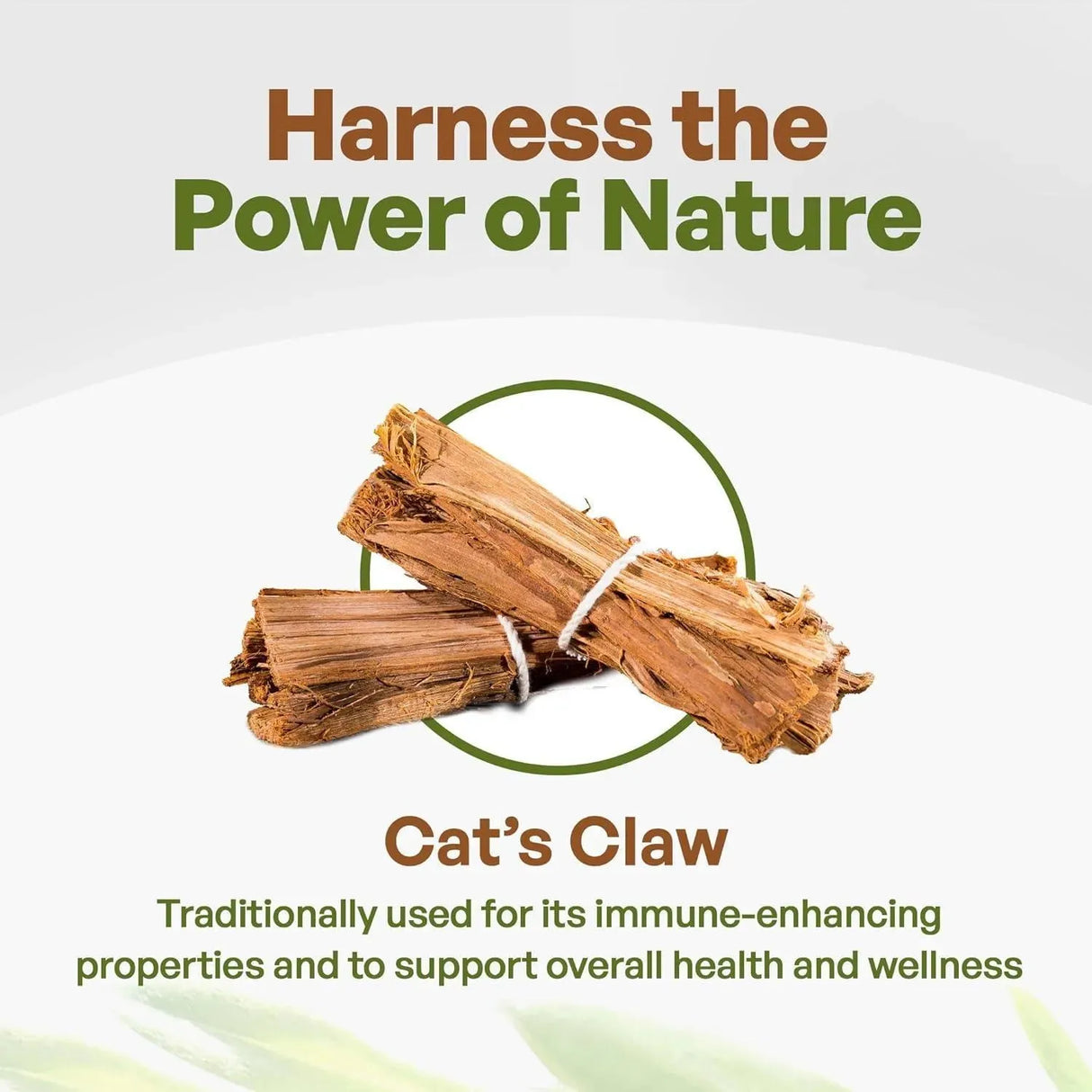 GO NUTRA - Go Nutra Cat’s Claw Powder 8 Oz. - The Red Vitamin MX - Suplementos Alimenticios - {{ shop.shopifyCountryName }}