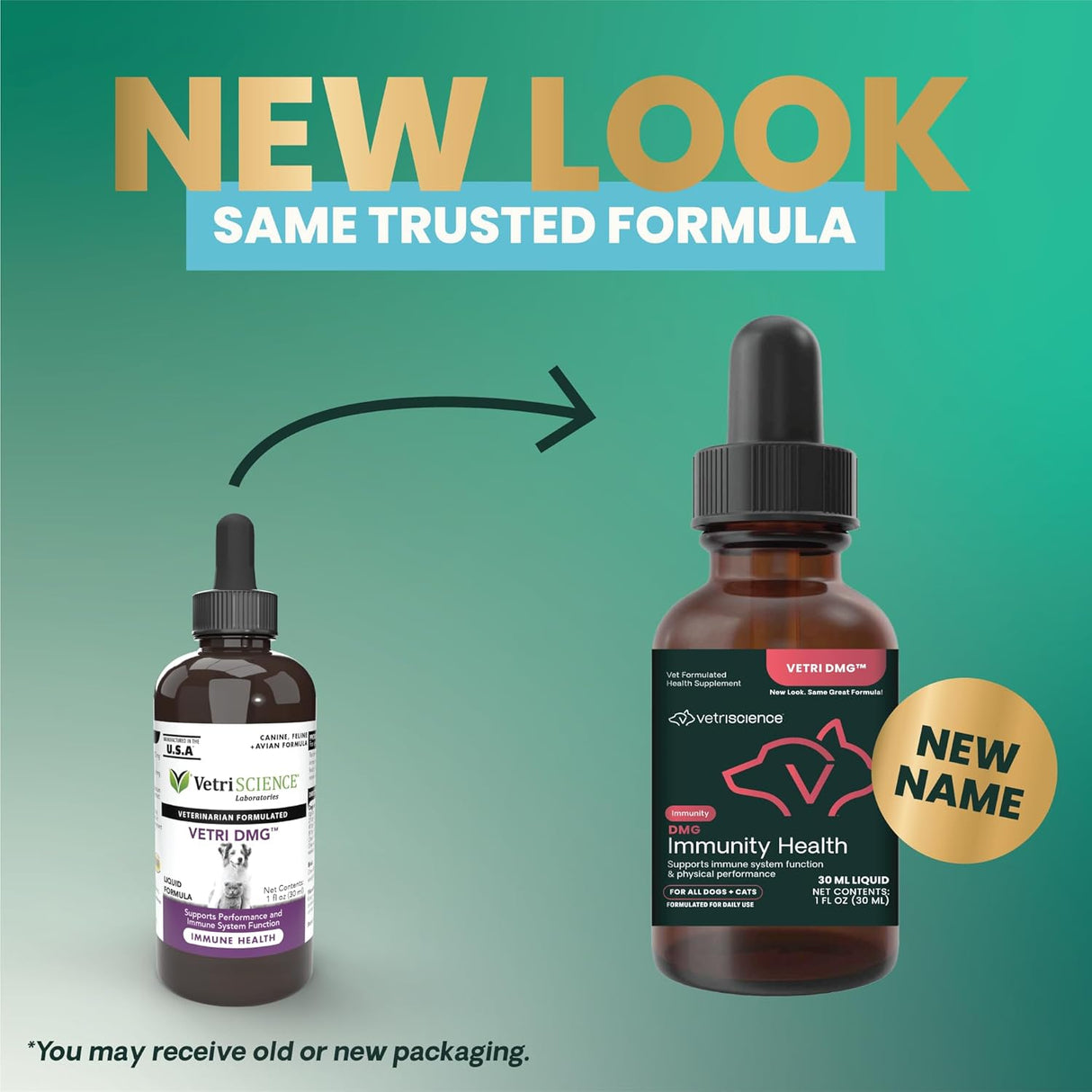 VETRISCIENCE DMG Immunity Health Easy-Dose Liquid 30Ml.