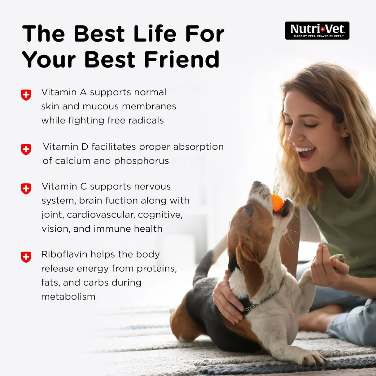 NUTRI-VET - Nutri-Vet Multi-Vite Chewables for Adult Dogs 180 Masticables - The Red Vitamin MX - Multivitamínicos Para Perros - {{ shop.shopifyCountryName }}