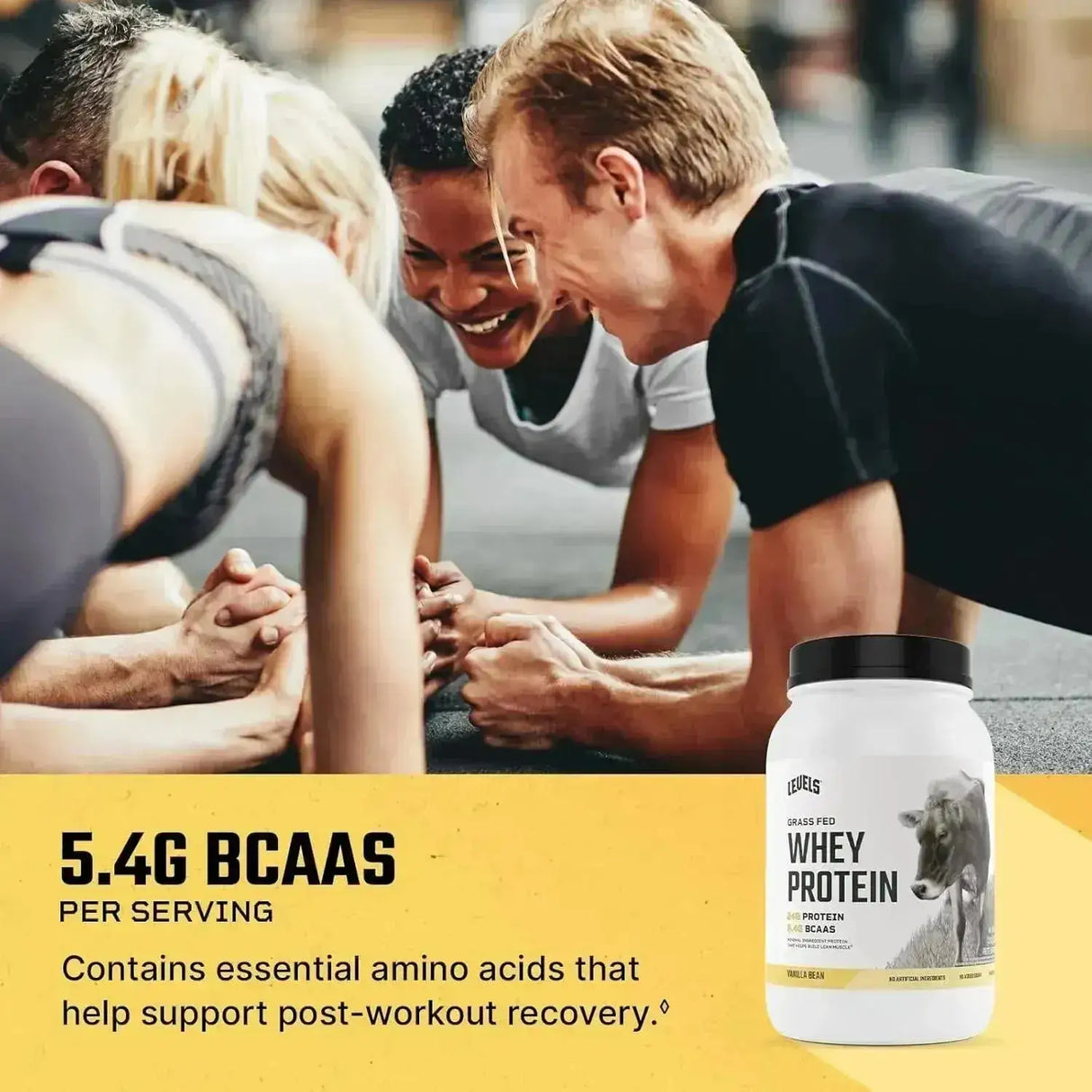 LEVELS - Levels Grass Fed Whey Protein Powder Vanilla Bean 2Lb. - The Red Vitamin MX - Suplementos Alimenticios - {{ shop.shopifyCountryName }}