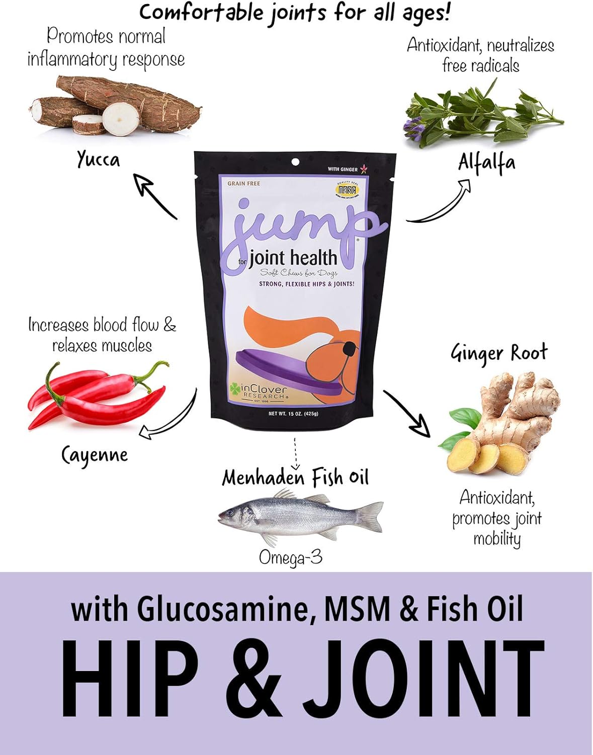 In Clover Jump Soft Chews for Daily Joint Care and Endurance Support for Dogs 150Gr.