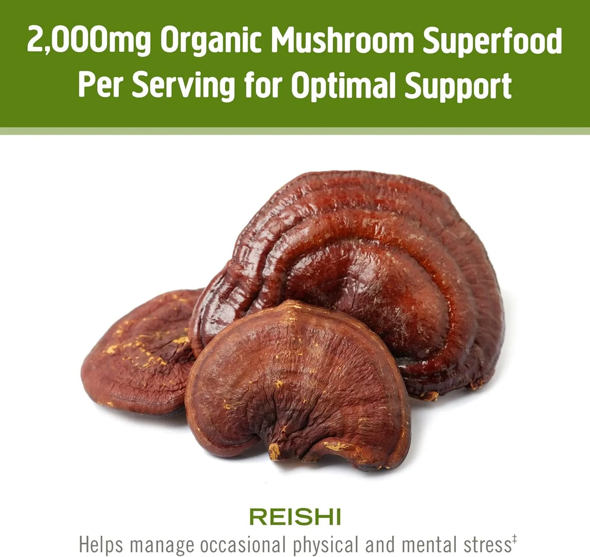 OM - Om Mushroom Superfood Reishi Organic Mushroom Powder 200Gr. - The Red Vitamin MX - Suplementos Alimenticios - {{ shop.shopifyCountryName }}