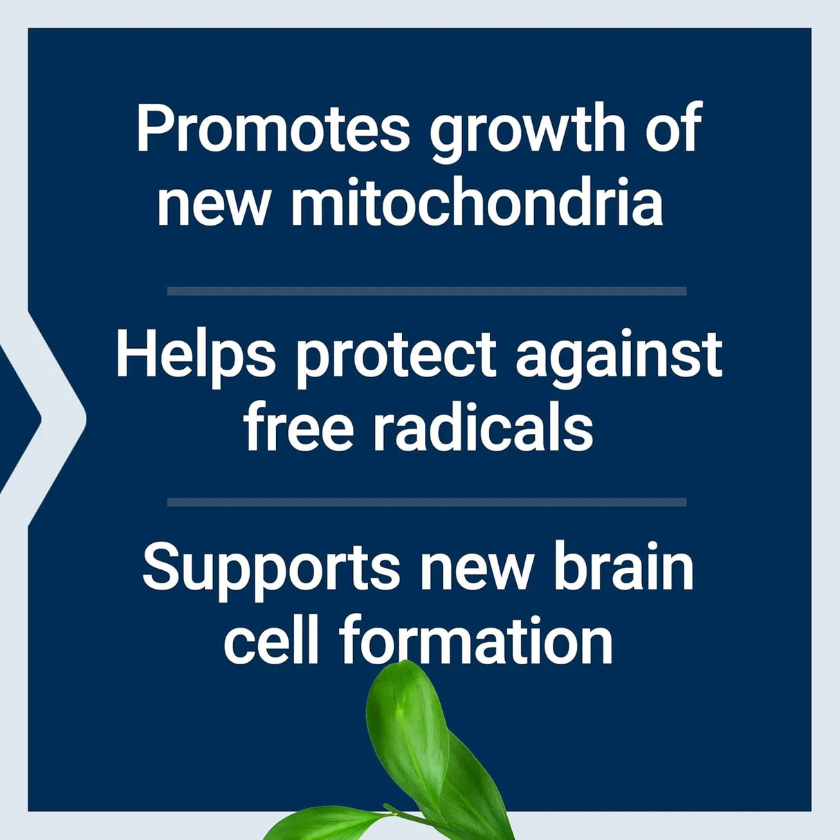 LIFE EXTENSION - Life Extension Mitochondrial Basics with PQQ 30 Capsulas - The Red Vitamin MX - Suplementos Alimenticios - {{ shop.shopifyCountryName }}