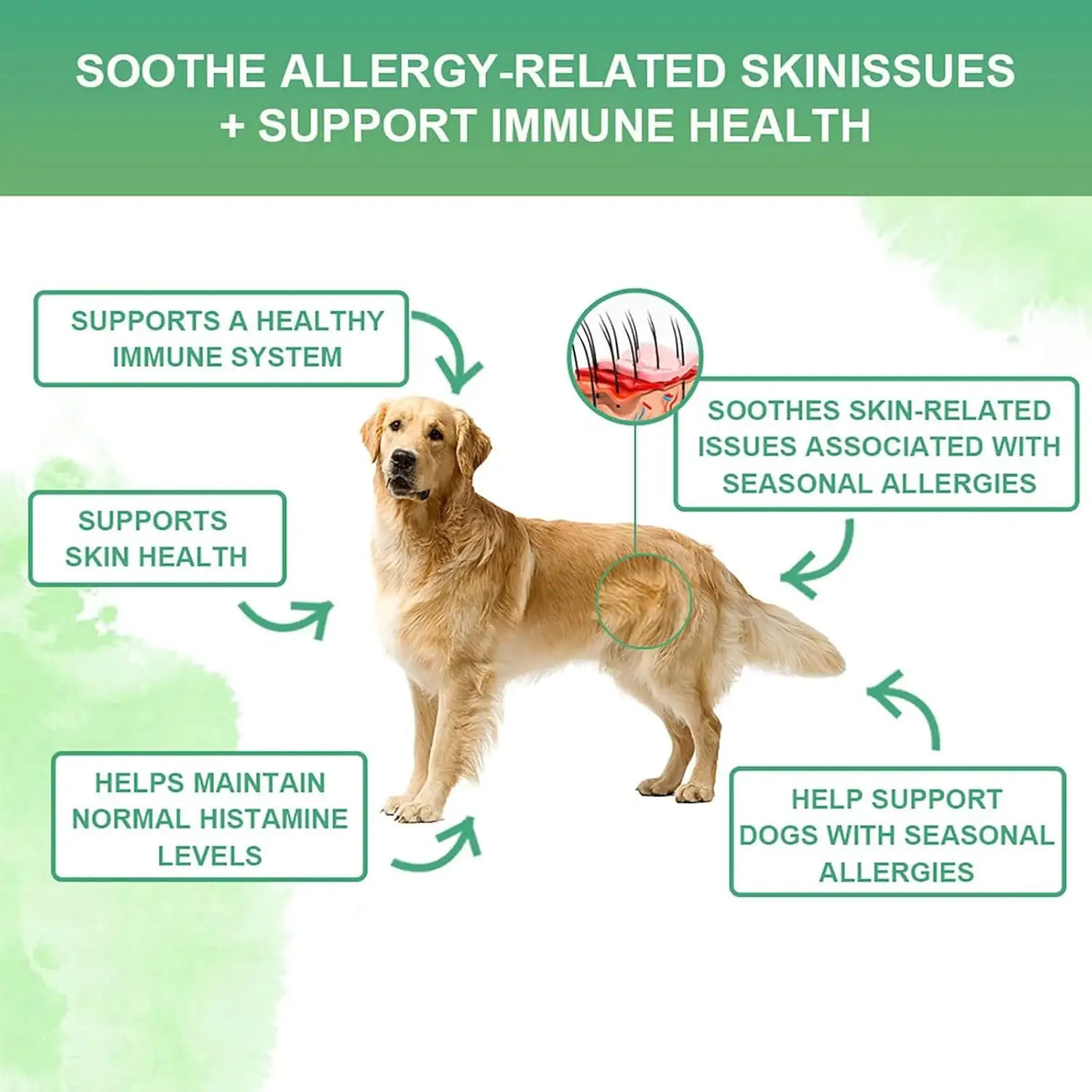 NUTRIDOG - Nutridog Allergy Chews for Dogs 120 Masticables - The Red Vitamin MX - Remedios Para La Picazón De Perros - {{ shop.shopifyCountryName }}