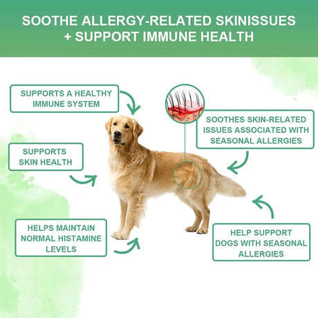 NUTRIDOG - Nutridog Allergy Chews for Dogs 120 Masticables - The Red Vitamin MX - Remedios Para La Picazón De Perros - {{ shop.shopifyCountryName }}