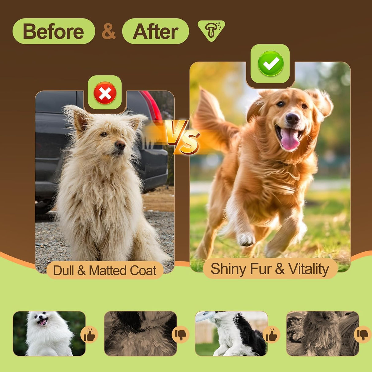 NUTRIVIO Organic Mushroom Immune Support Supplement for Dogs 180Gr.