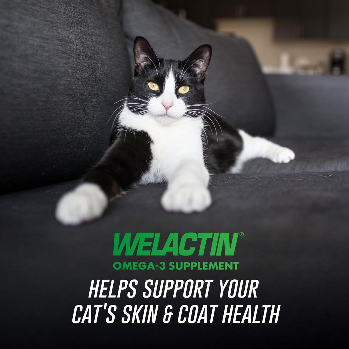 Welactin Omega-3 Skin and Coat Support Liquid 118Ml.