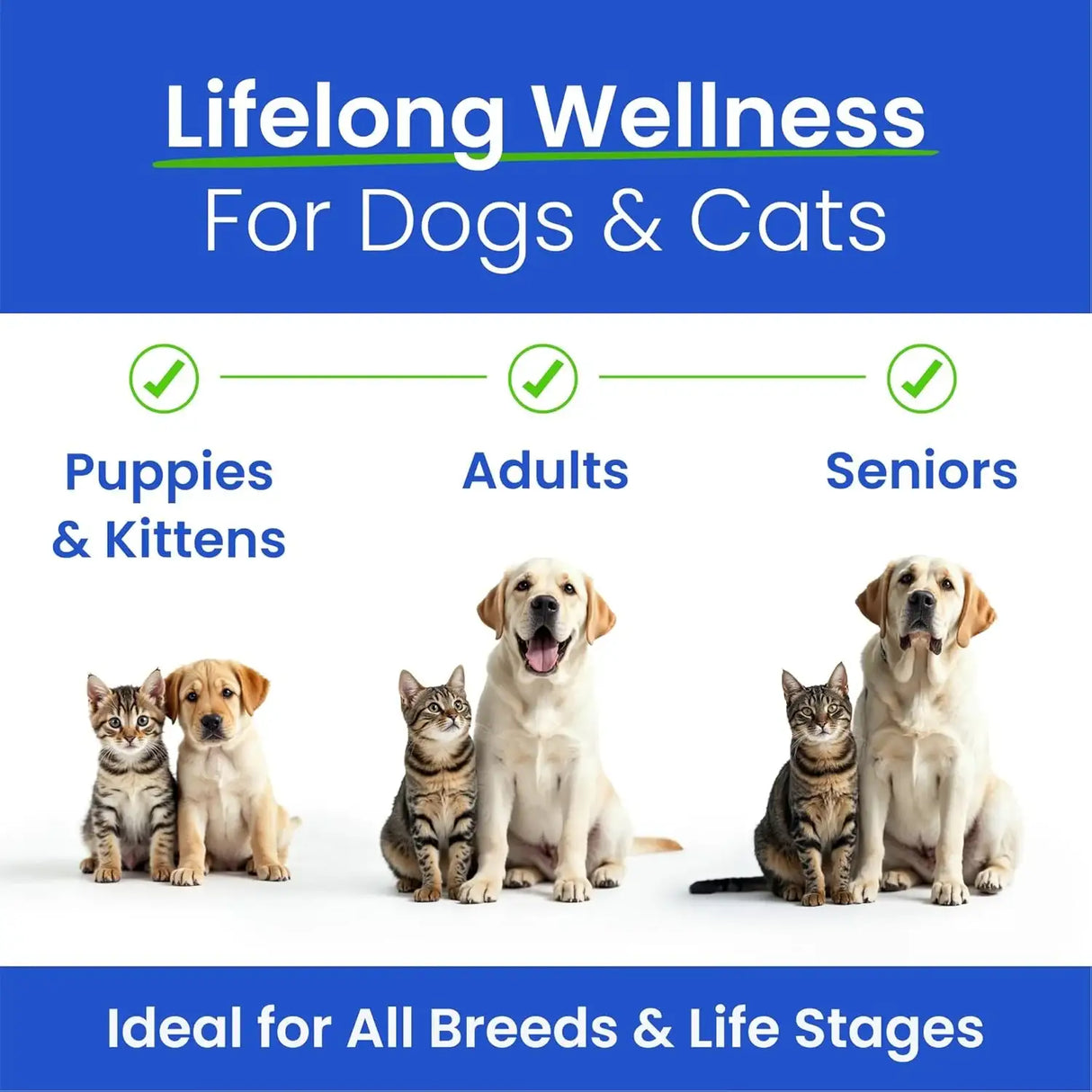 BARK&SPARK - BARK&SPARK Fish Oil for Dogs&Cats 16 Fl.Oz. - The Red Vitamin MX - Aceite De Pescado Para Perros - {{ shop.shopifyCountryName }}