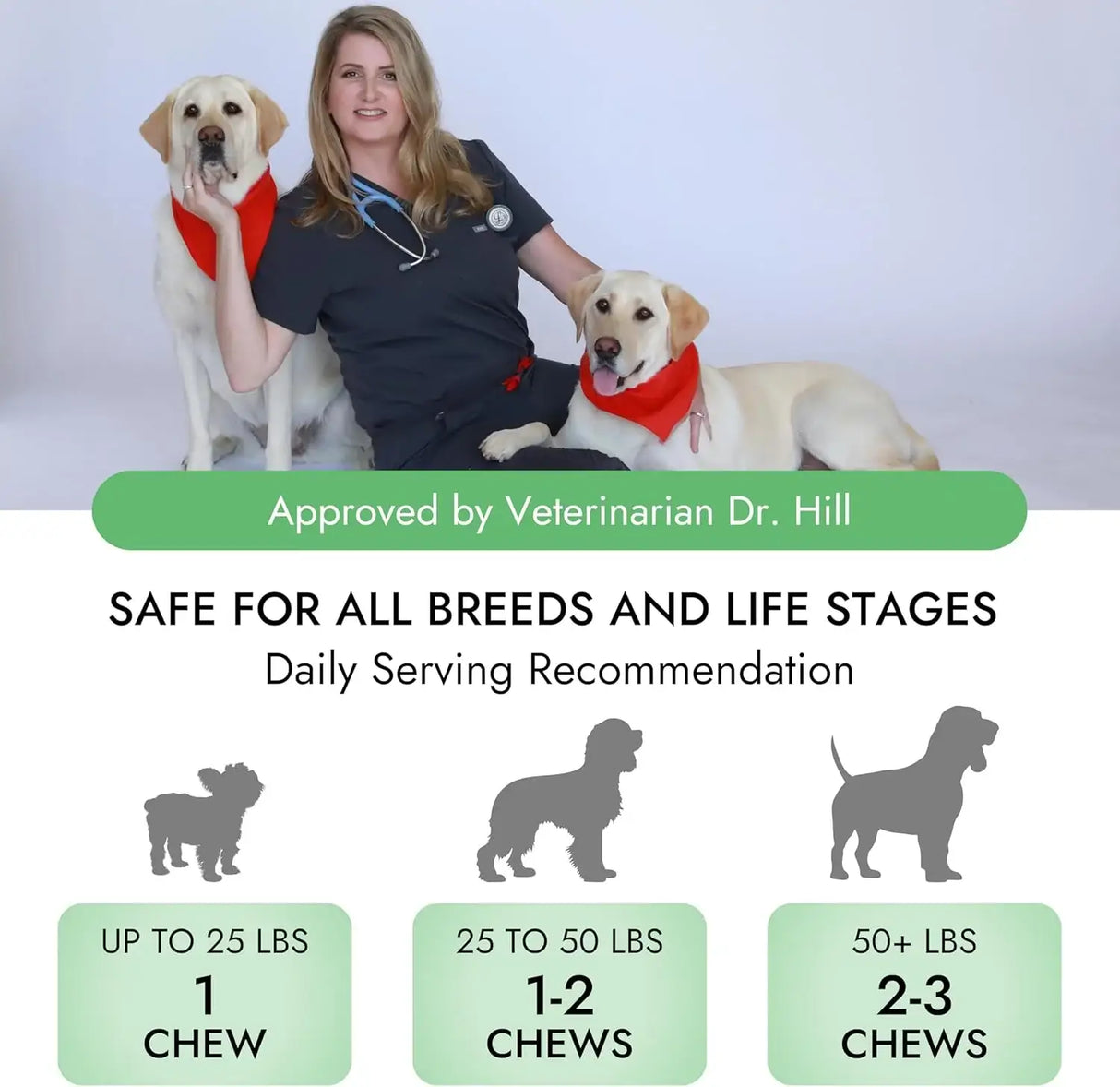 PET VET - Pet Vet Allergy Relief Chews for Dogs Beef Liver 60 Masticables - The Red Vitamin MX - Remedios Para La Picazón De Perros - {{ shop.shopifyCountryName }}