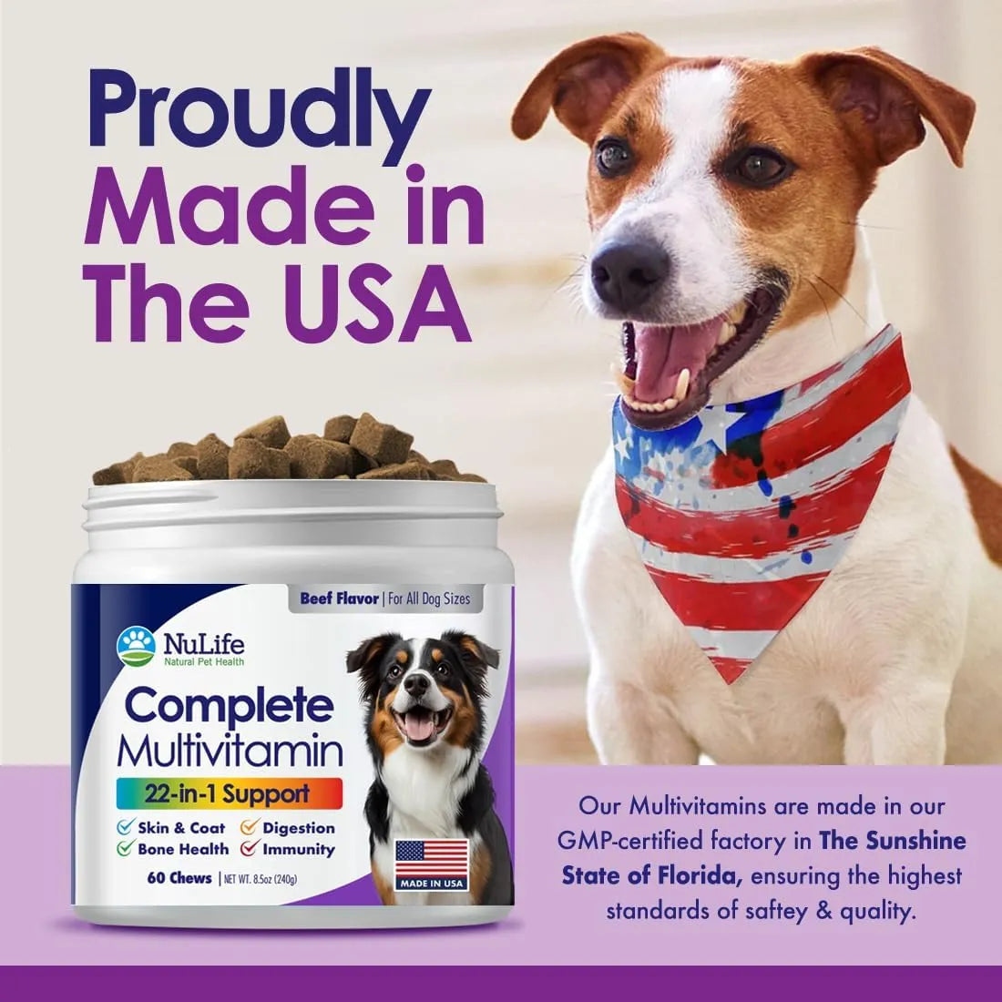 NULIFE - NuLife Natural Pet Health Dog Multivitamin 22-in-1 Support 60 Masticables - The Red Vitamin MX - Multivitamínicos Para Perros - {{ shop.shopifyCountryName }}