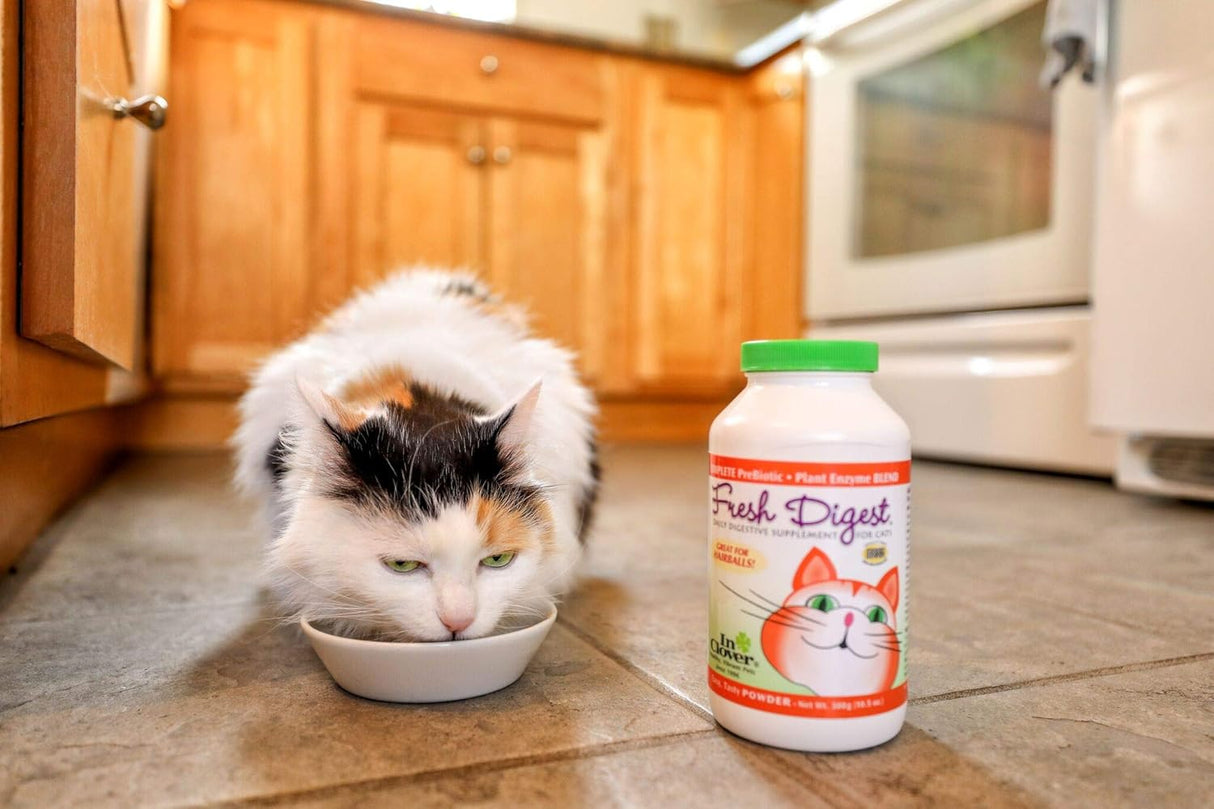 In Clover Fresh Digest Daily Digestive Aid and Immune Support Supplement for Cats 100Gr.