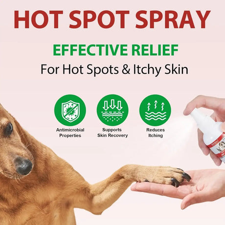 OIMMAL - Oimmal Hot Spot Spray Treatment for Dogs 100Ml. - The Red Vitamin MX - Remedios Para La Picazón De Perros - {{ shop.shopifyCountryName }}