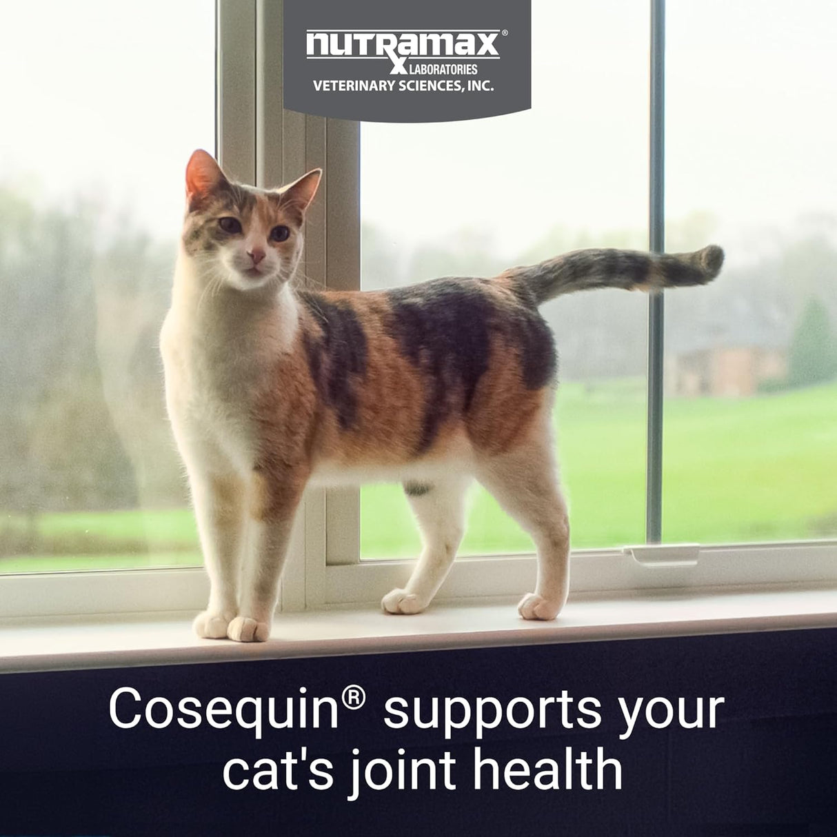 Nutramax Cosequin 80 Sprinkle Capsules for Cats 80 Capsulas