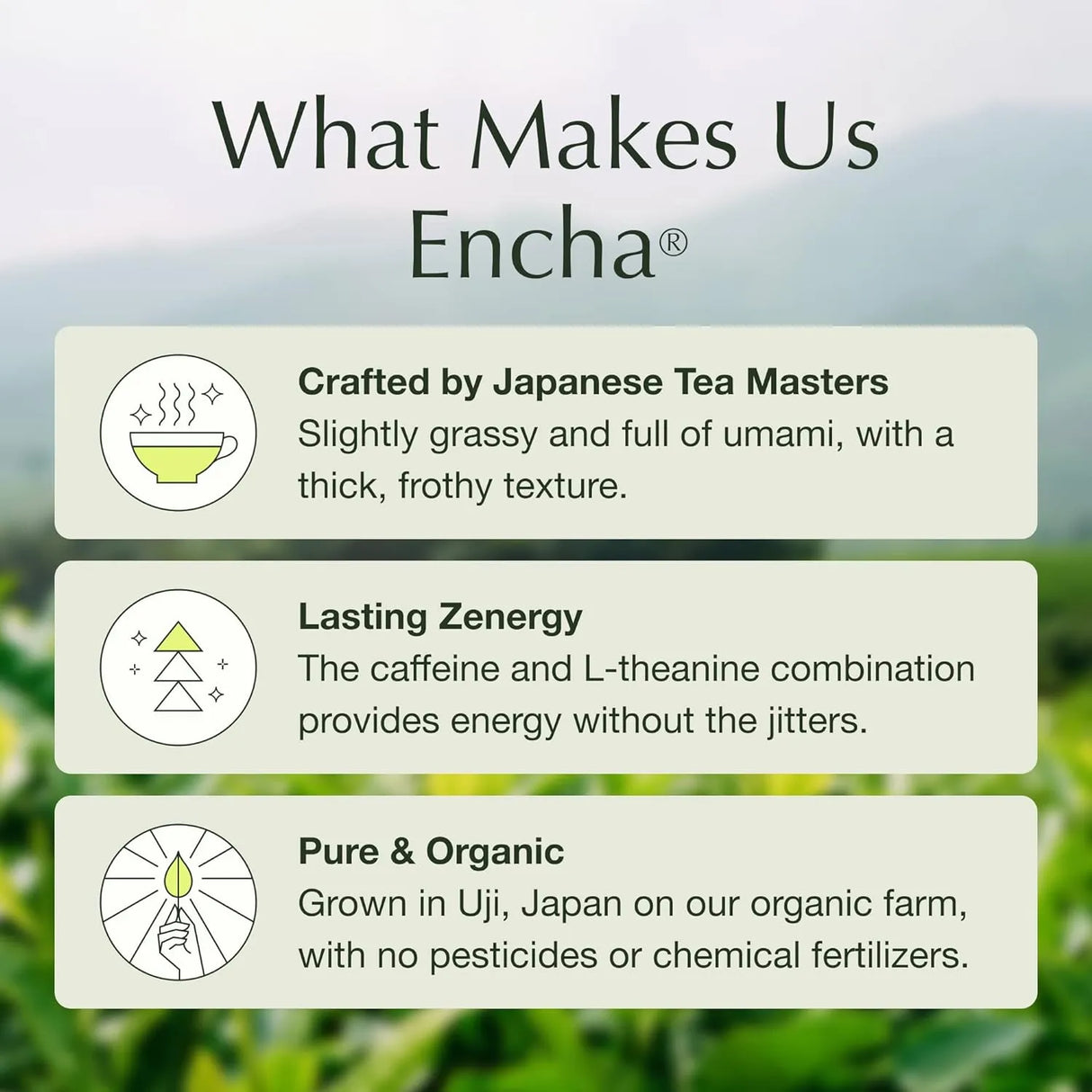 ENCHA - Encha Ceremonial Grade Matcha Powder 60Gr. - The Red Vitamin MX - Suplementos Alimenticios - {{ shop.shopifyCountryName }}
