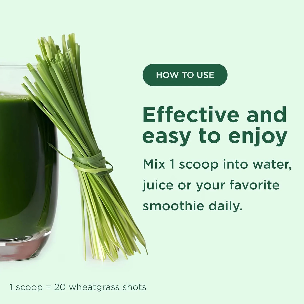 YUVE NATURALS - Yuve USDA Organic Wheatgrass Powder 150Gr. - The Red Vitamin MX - Suplementos Alimenticios - {{ shop.shopifyCountryName }}