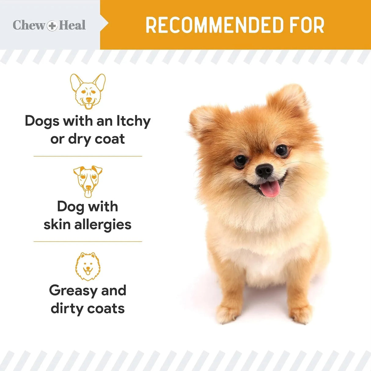 CHEW + HEAL - Chew + Heal Labs Salmon Oil for Dogs 8 Fl.Oz. - The Red Vitamin MX - Aceite De Pescado Para Perros - {{ shop.shopifyCountryName }}