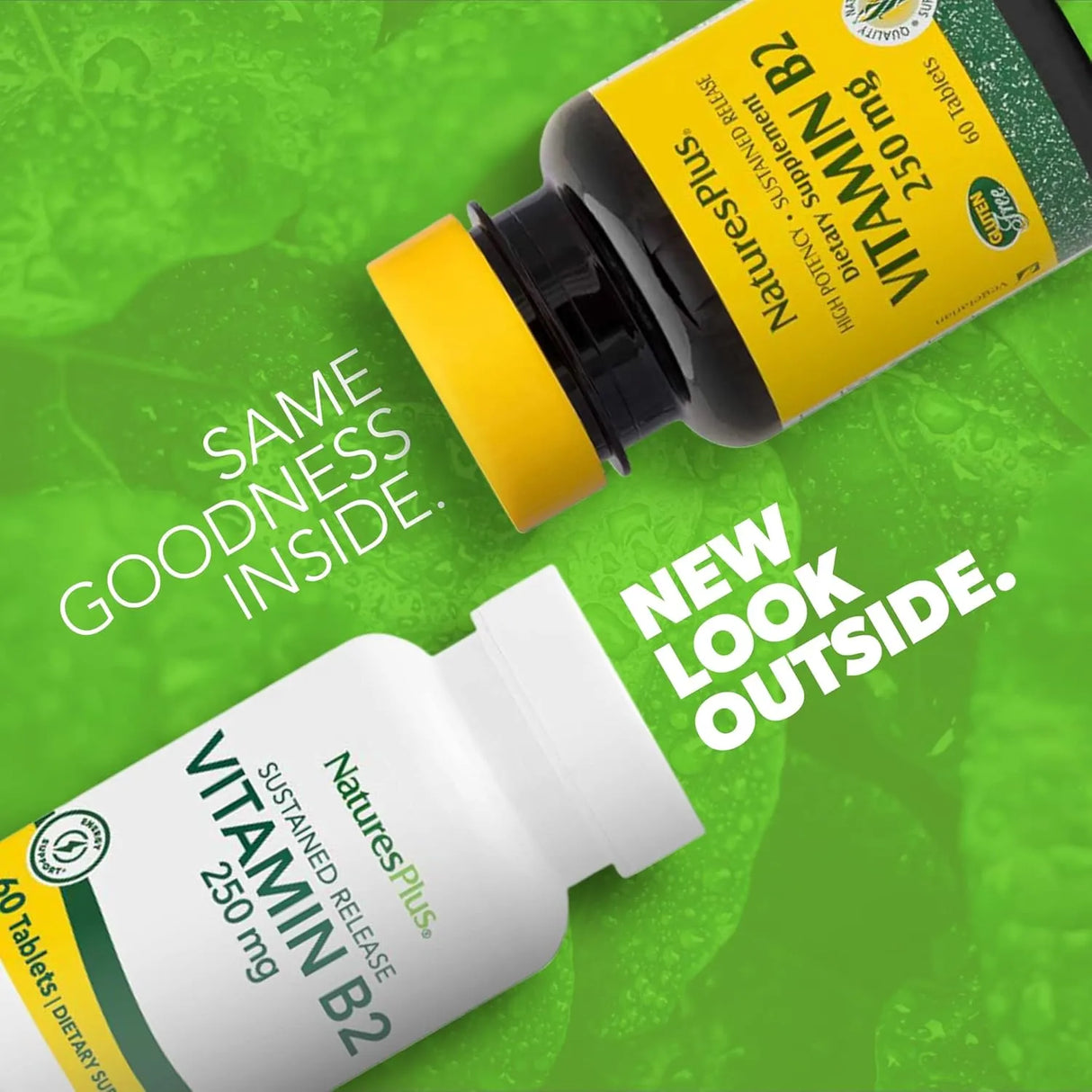 NATURES PLUS - Natures Plus Vitamin B2 250Mg. 60 Tabletas - The Red Vitamin MX - Suplementos Alimenticios - {{ shop.shopifyCountryName }}