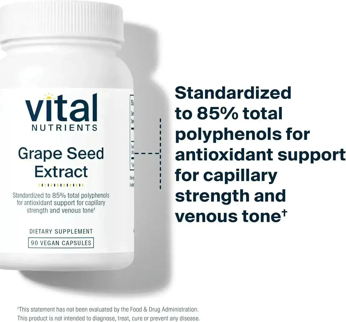 VITAL NUTRIENTS - Vital Nutrients Grape Seed Extract 100Mg. 90 Capsulas - The Red Vitamin MX - Suplementos Alimenticios - {{ shop.shopifyCountryName }}