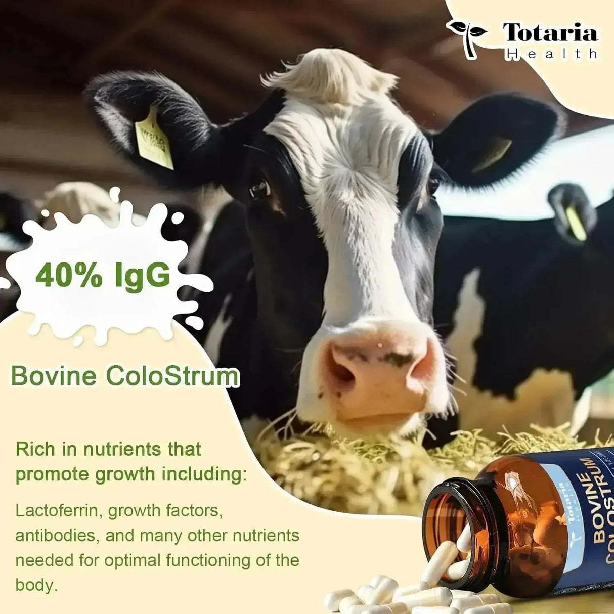 TOTARIA - Totaria Bovine Colostrum 120 Capsulas - The Red Vitamin MX - Suplementos Alimenticios - {{ shop.shopifyCountryName }}