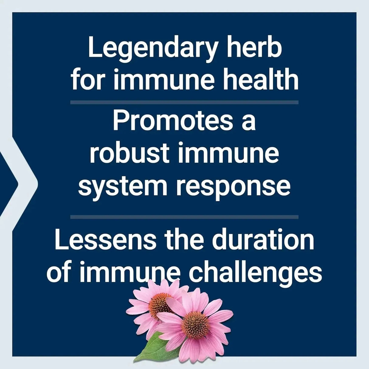 LIFE EXTENSION - Life Extension Echinacea Elite 60 Capsulas - The Red Vitamin MX - Suplementos Alimenticios - {{ shop.shopifyCountryName }}