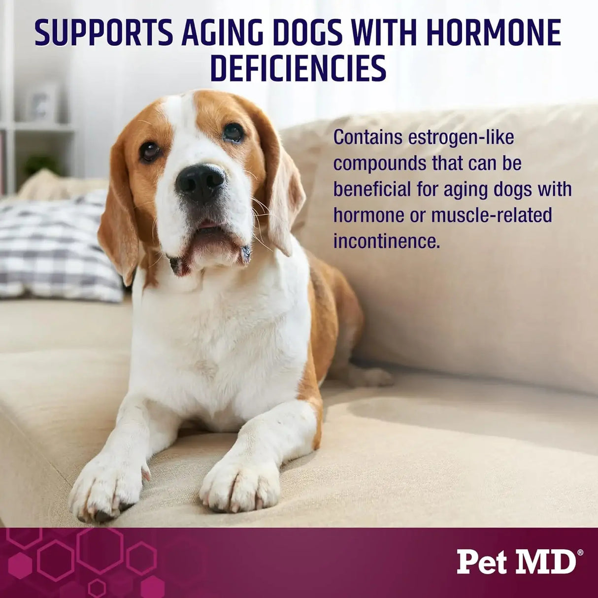 PET MD - Pet MD Bladder Support Plus Cranberry for Dogs 60 Masticables - The Red Vitamin MX - Salud De Tracto Urinario Para Perros - {{ shop.shopifyCountryName }}