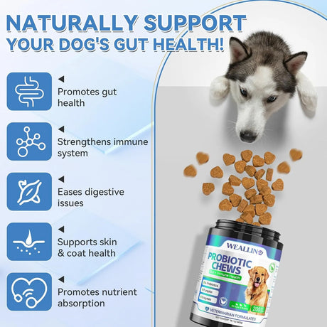 WEALLIN - WEALLIN Probiotics for Dogs 200 Masticables - The Red Vitamin MX - Probióticos Para Perros - {{ shop.shopifyCountryName }}