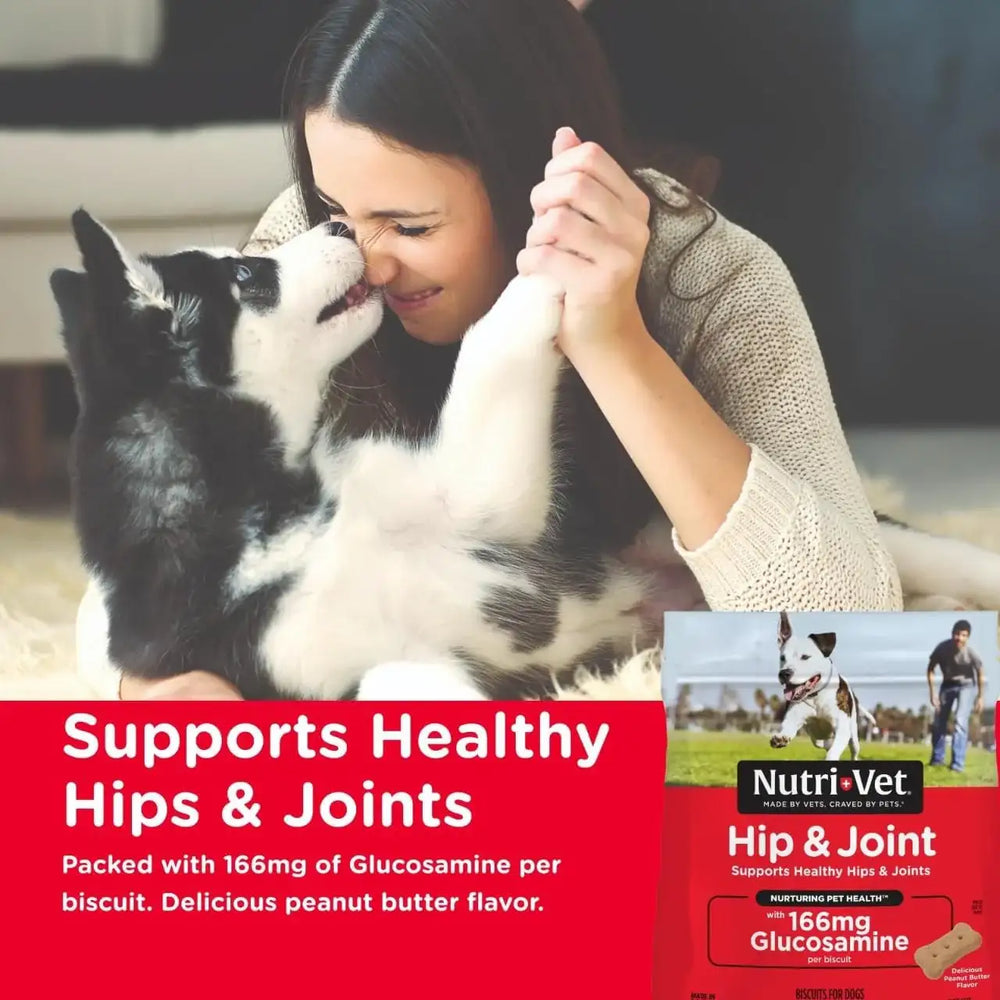 NUTRI-VET - Nutri-Vet Hip & Joint Biscuits for Dogs 454Gr. 2 Pack - The Red Vitamin MX - Cuidado De Cadera Y Articulaciones Para Perros - {{ shop.shopifyCountryName }}