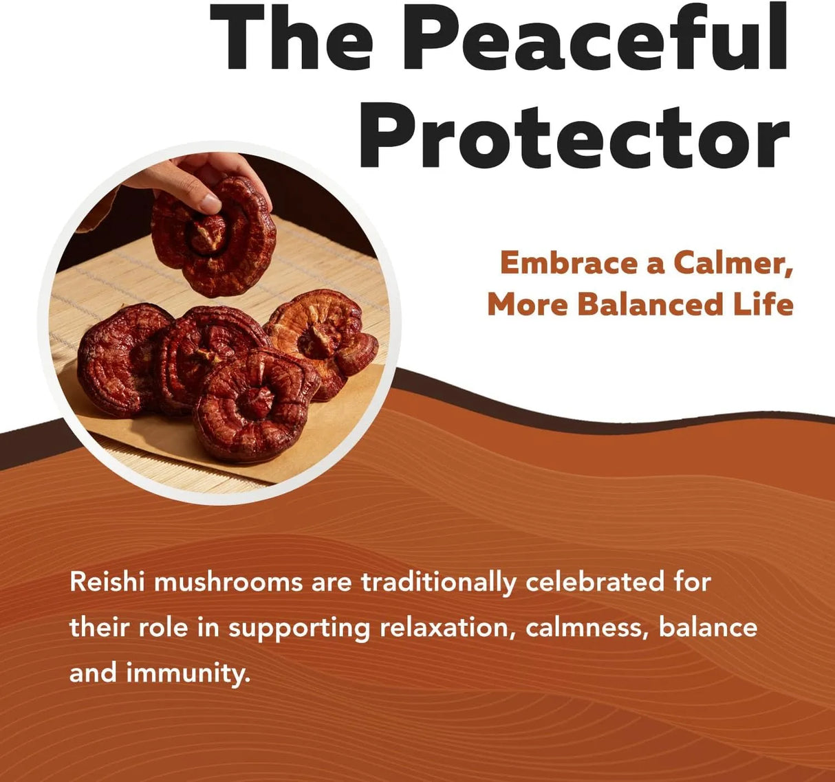 TRIQUETRA - Triquetra Health Organic Reishi Mushroom 60 Capsulas - The Red Vitamin MX - Suplementos Alimenticios - {{ shop.shopifyCountryName }}