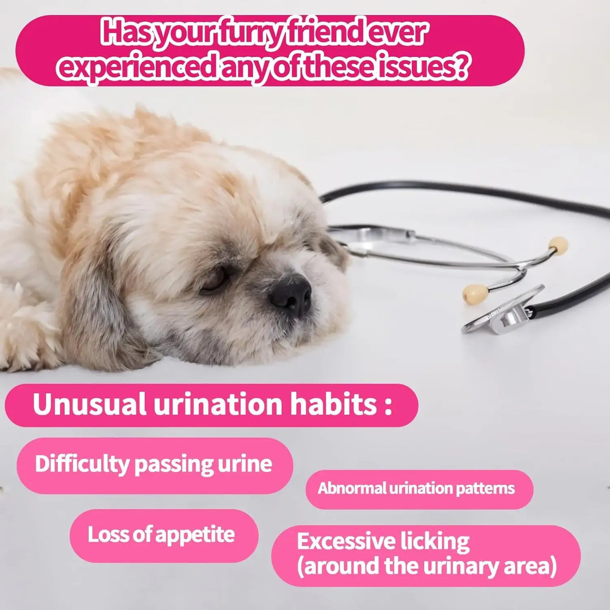 CARMELIE - Carmelie Dog Urinary Tract Supplement 200 Masticables - The Red Vitamin MX - Salud De Tracto Urinario Para Perros - {{ shop.shopifyCountryName }}