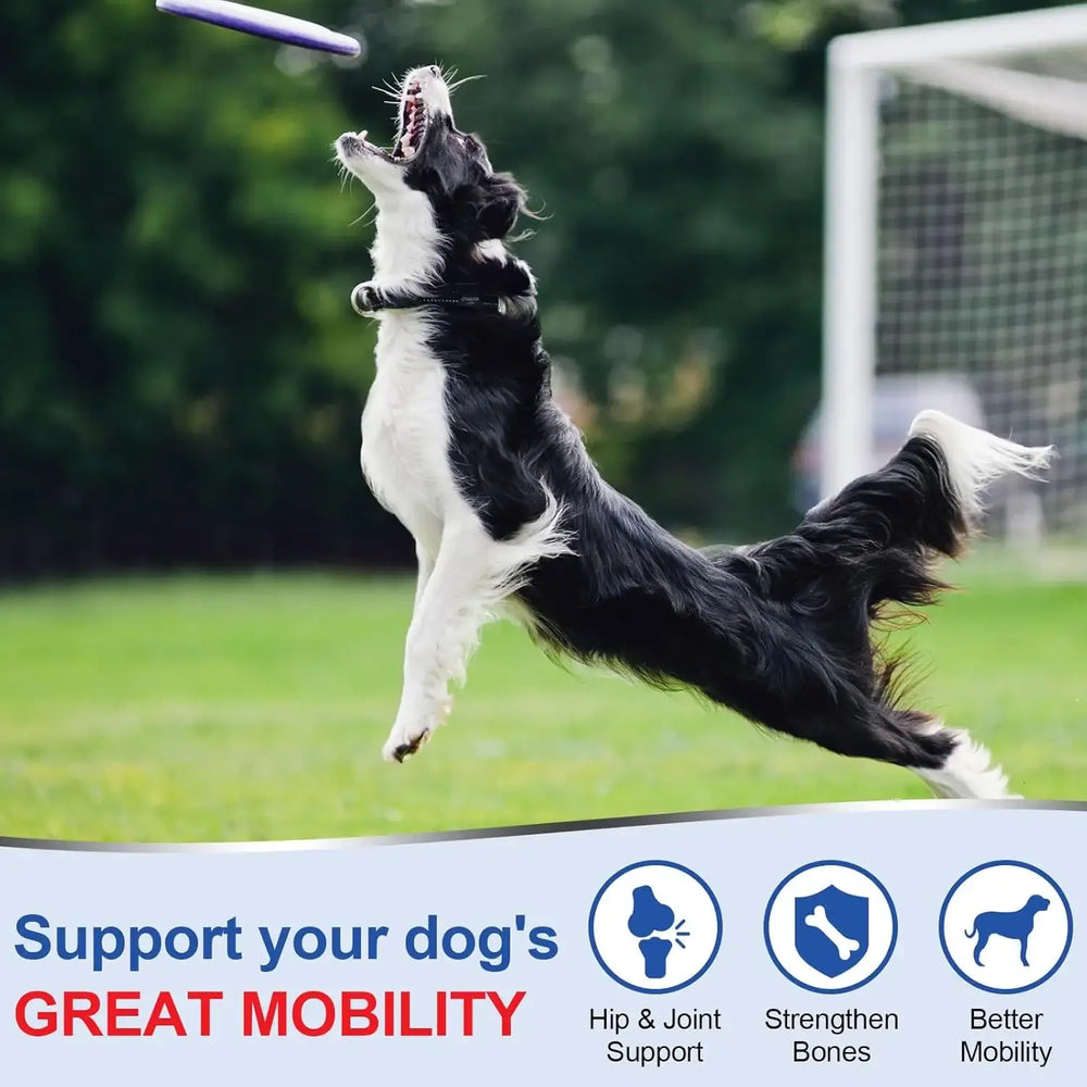 COLEAZE - ColEaze Hip & Joint Support 200 Masticables - The Red Vitamin MX - Cuidado De Cadera Y Articulaciones Para Perros - {{ shop.shopifyCountryName }}