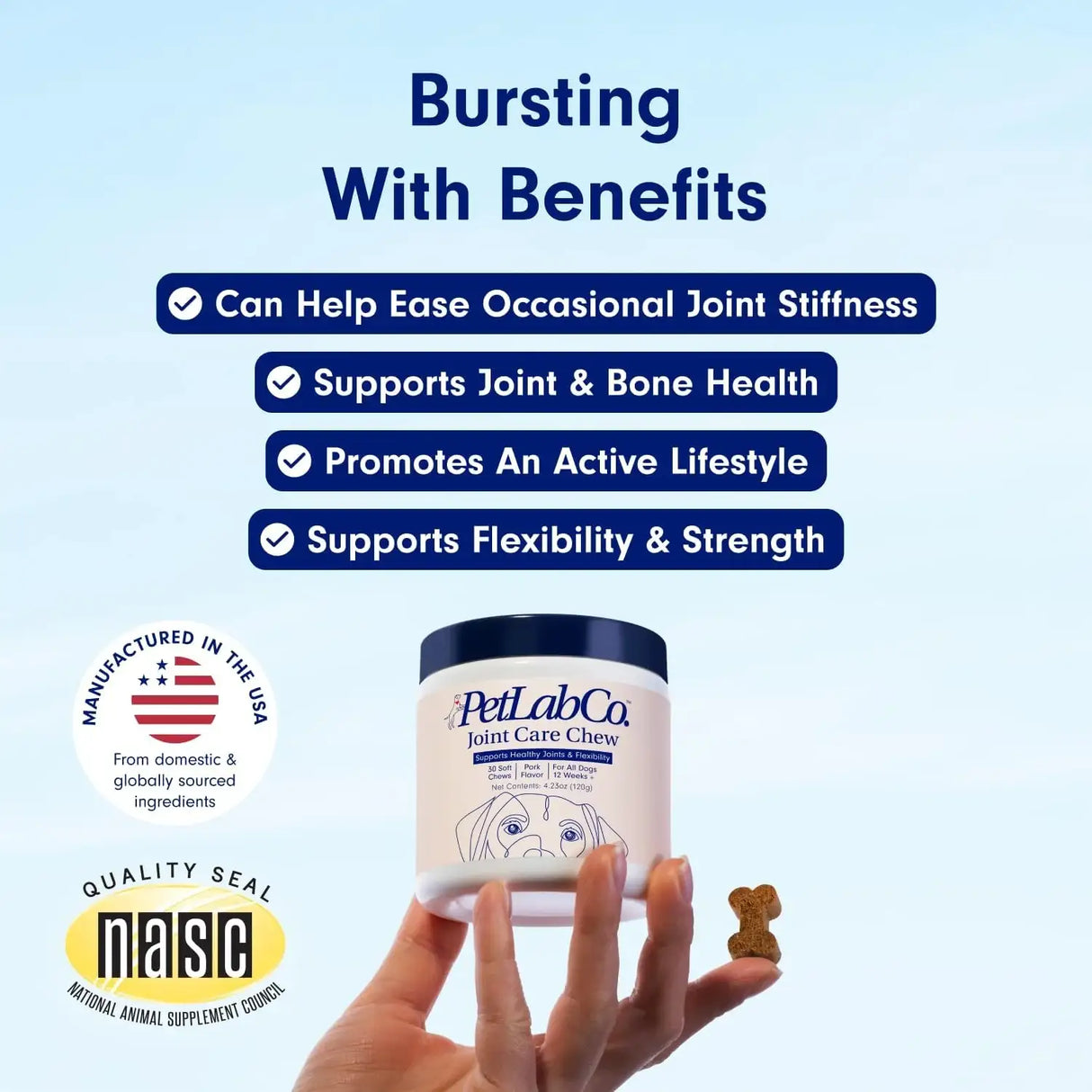PETLAB CO. - PetLab Co. Joint Care Chews for Dogs Pork Flavor 30 Masticables - The Red Vitamin MX - Cuidado De Cadera Y Articulaciones Para Perros - {{ shop.shopifyCountryName }}