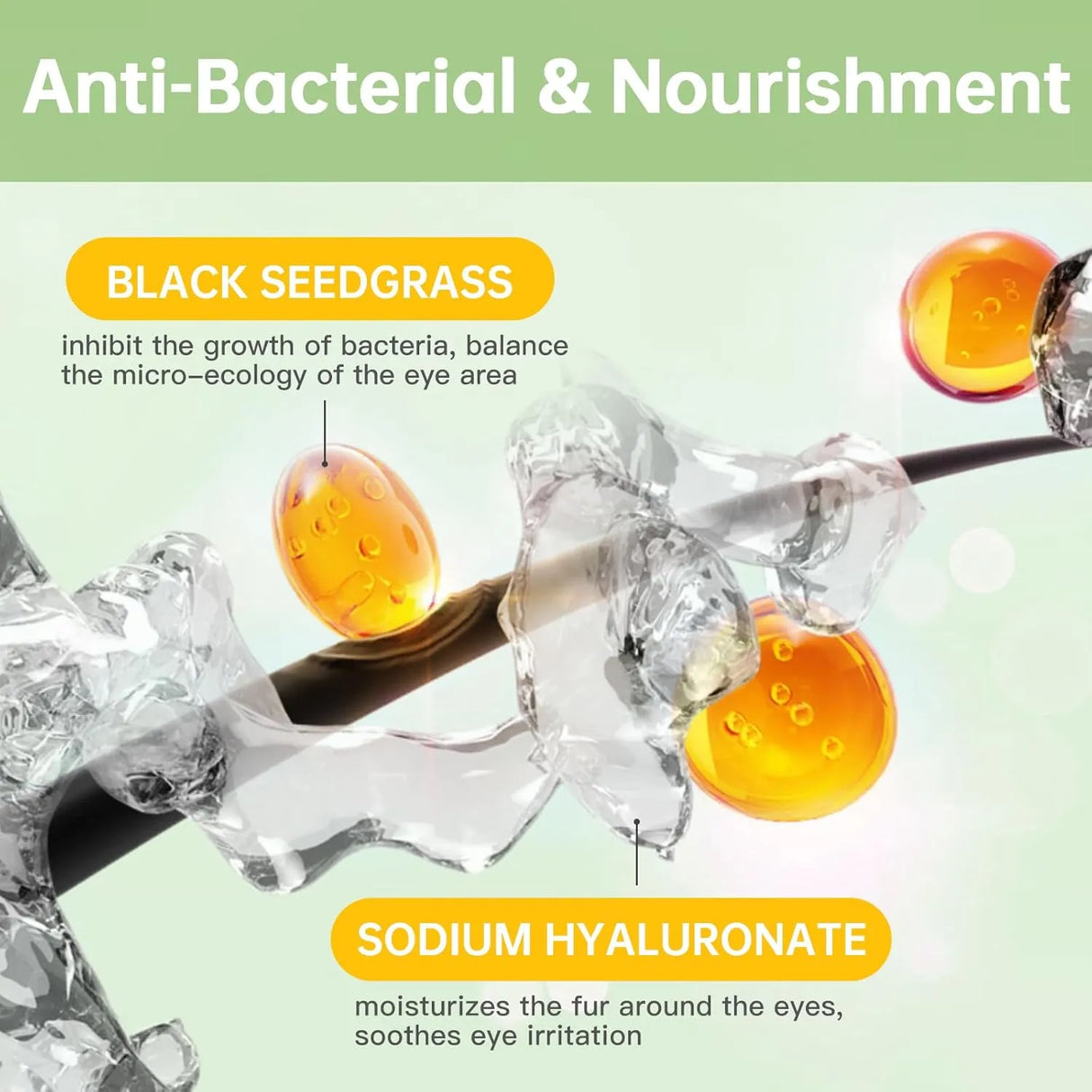 ANCOPAWS - Ancopaws Eye Drops for Dogs & Cats 2 Fl.Oz. - The Red Vitamin MX - Cuidado De Los Ojos De Los Perros - {{ shop.shopifyCountryName }}