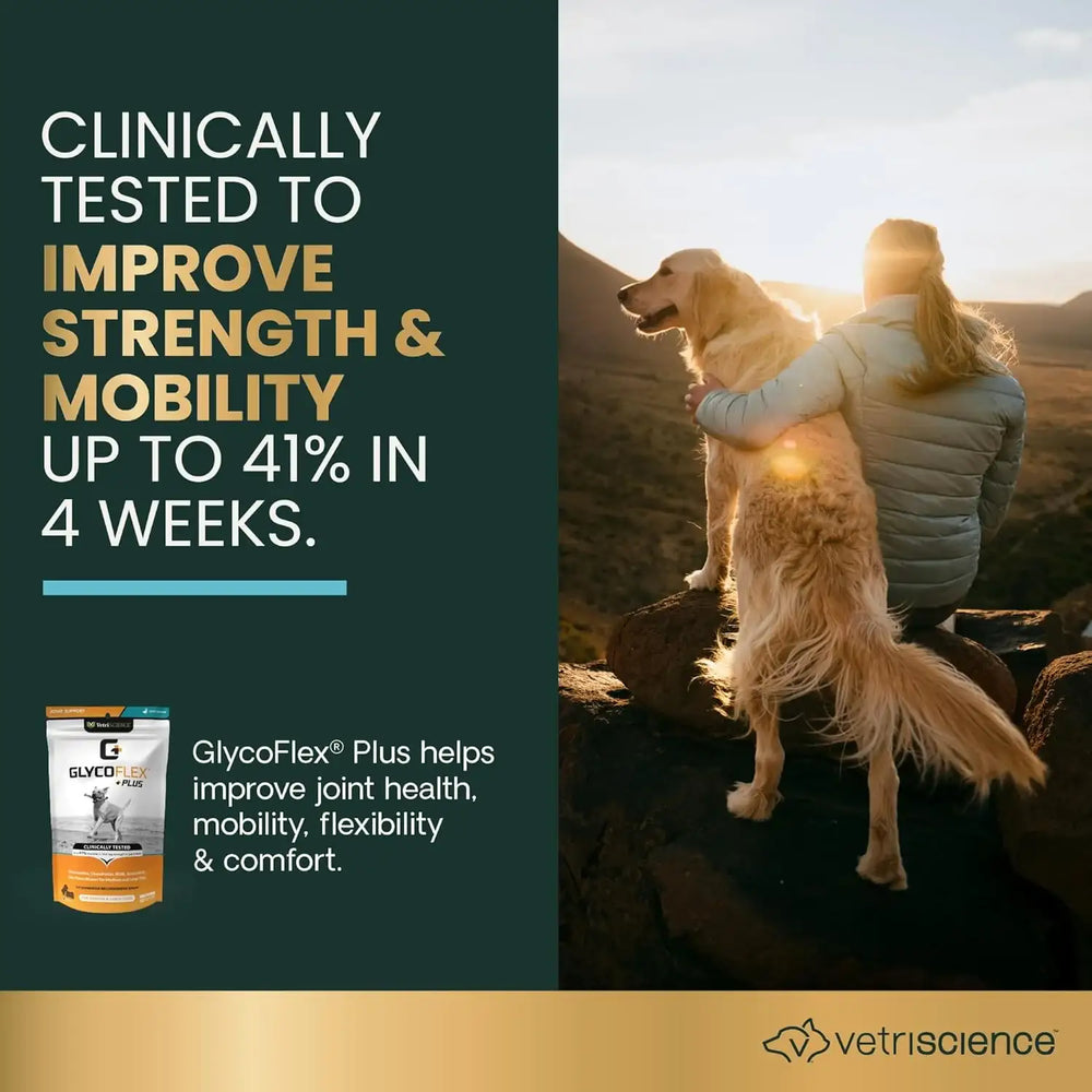 VETRISCIENCE - VetriScience GlycoFlex Ultimate Strength Healthy Hip & Joint Peanut Butter Flavor 120 Masticables - The Red Vitamin MX - Cuidado De Cadera Y Articulaciones Para Perros - {{ shop.shopifyCountryName }}