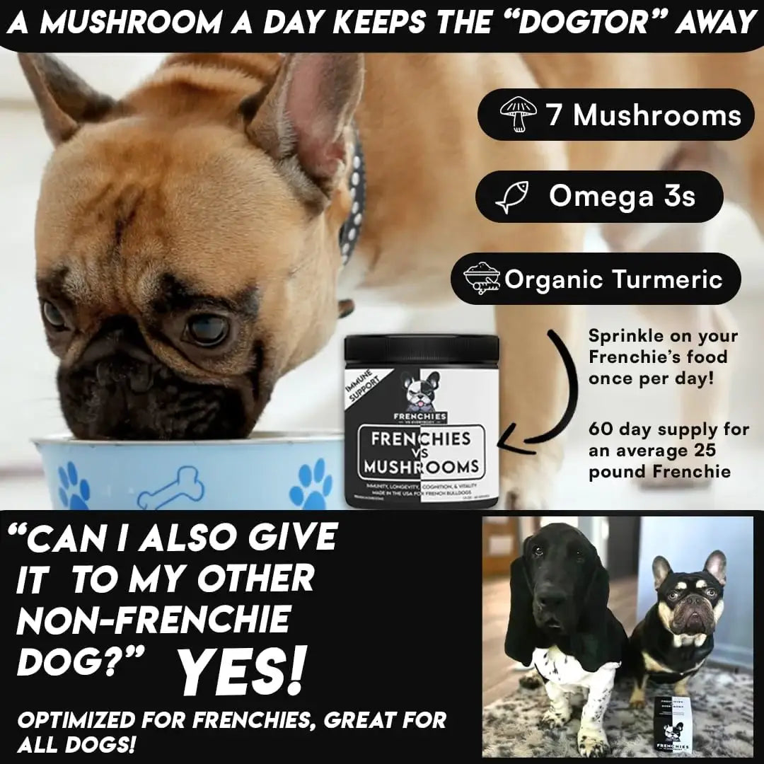 FRENCH VS EVERYBODY - Frenchies vs Everybody French Bulldog Optimized Mushroom Supplement for Dogs 75Gr. - The Red Vitamin MX - Suplementos Herbales Para Perros - {{ shop.shopifyCountryName }}