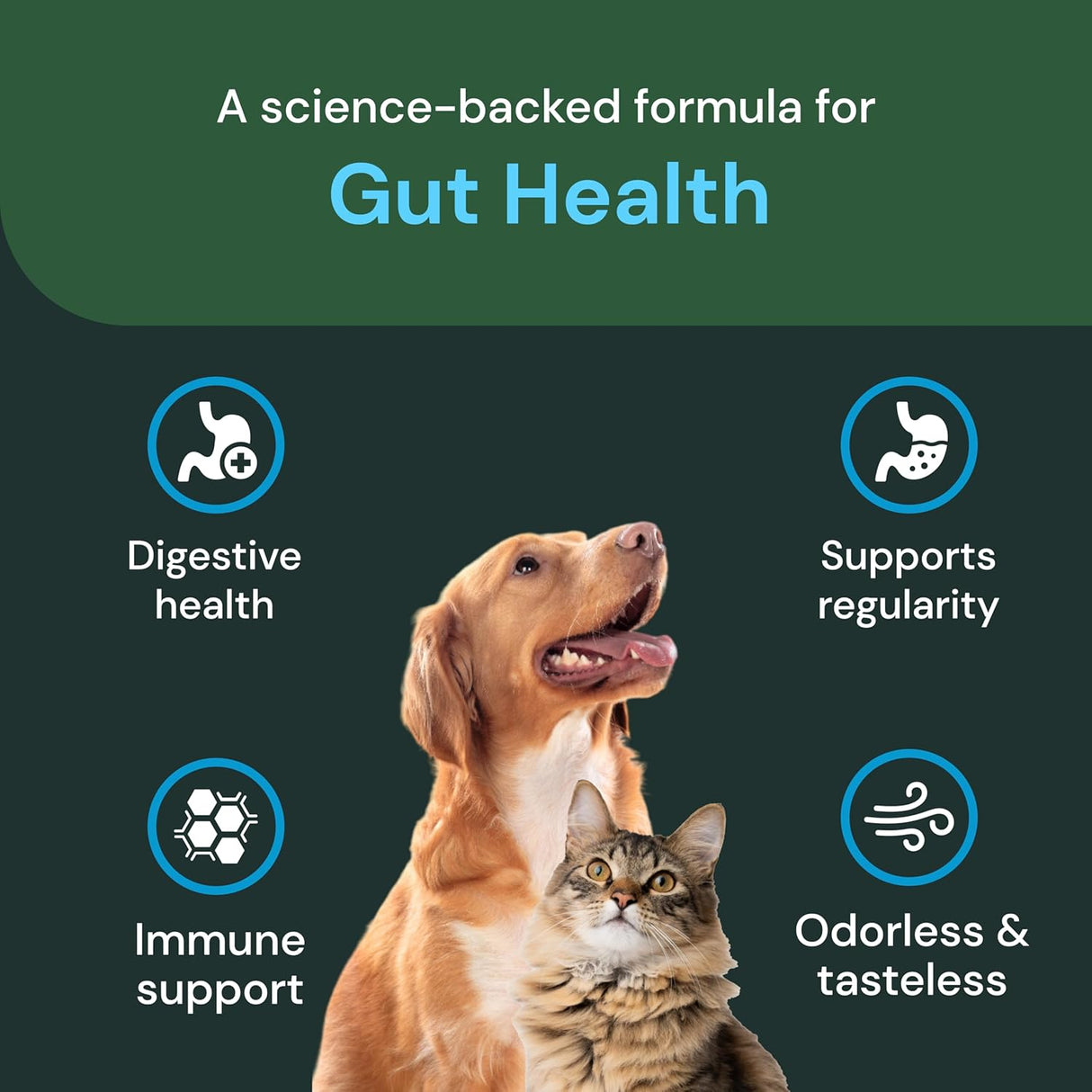 VetriScience Veterinary Strength Gut Health Powder 60 Servicios 60Gr.