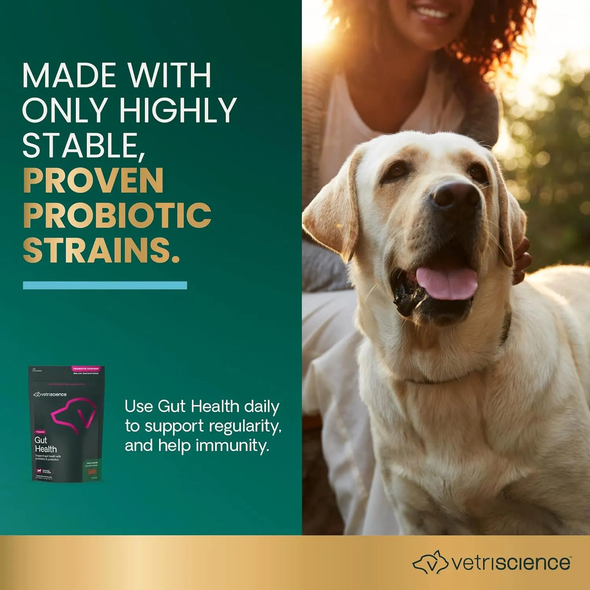 VETRISCIENCE - VetriScience Gut Health Chews Probiotic Everyday Digestive 120 Masticables - The Red Vitamin MX - Probióticos Para Perros - {{ shop.shopifyCountryName }}