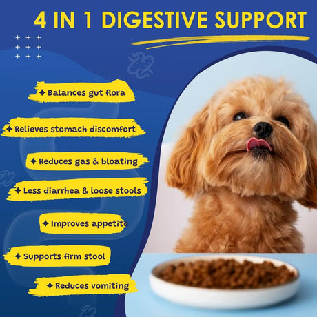 SHINEPAWS - SHINEPAWS Probiotics for Dogs 120 Masticables - The Red Vitamin MX - Probióticos Para Perros - {{ shop.shopifyCountryName }}