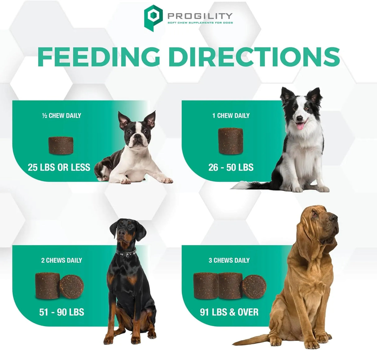 NOOTIE - Nootie Progility Multvitamin for Dogs 90 Masticables - The Red Vitamin MX - Multivitamínicos Para Perros - {{ shop.shopifyCountryName }}