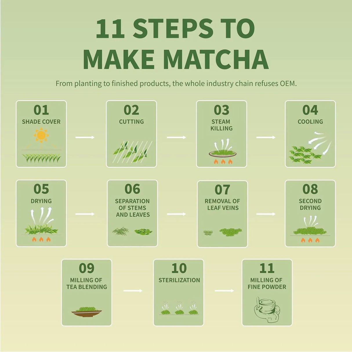 TIAN HU SHAN - TIAN HU SHAN Organic Matcha Green Tea Powder 114Gr. - The Red Vitamin MX - Suplementos Alimenticios - {{ shop.shopifyCountryName }}