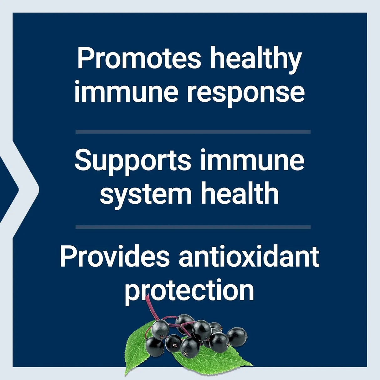 LIFE EXTENSION - Life Extension Black Elderberry + Vitamin C 60 Capsulas - The Red Vitamin MX - Suplementos Alimenticios - {{ shop.shopifyCountryName }}