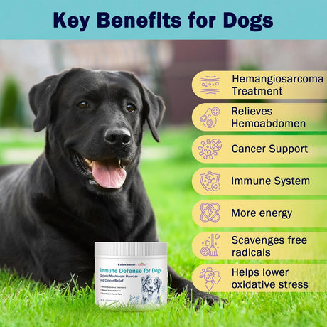 UNIPOMME - Unipomme Dogs Guard Defense Immune 120Gr. - The Red Vitamin MX - Suplementos Herbales Para Perros - {{ shop.shopifyCountryName }}