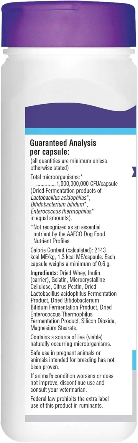 ESSENTIAL PET - Essential Pet Probiotics with Direct-fed Microorganisms for Digestive Support 90 Capsulas - The Red Vitamin MX - Probióticos Para Perros - {{ shop.shopifyCountryName }}